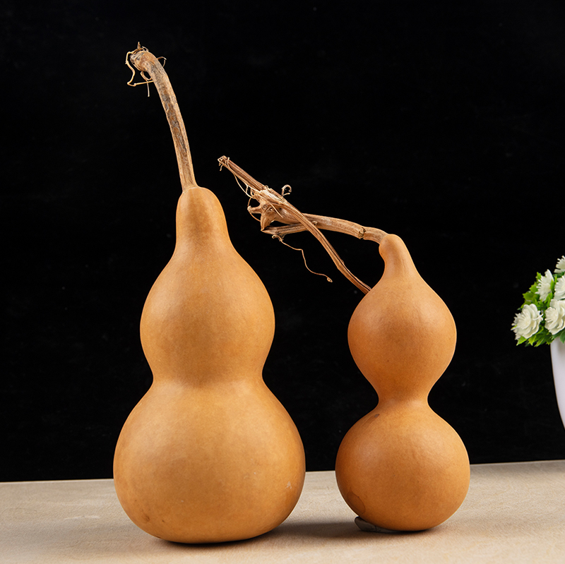 Longevity Health & Wellness Hotel - Ornements artisanaux en gourde naturelle, nœud