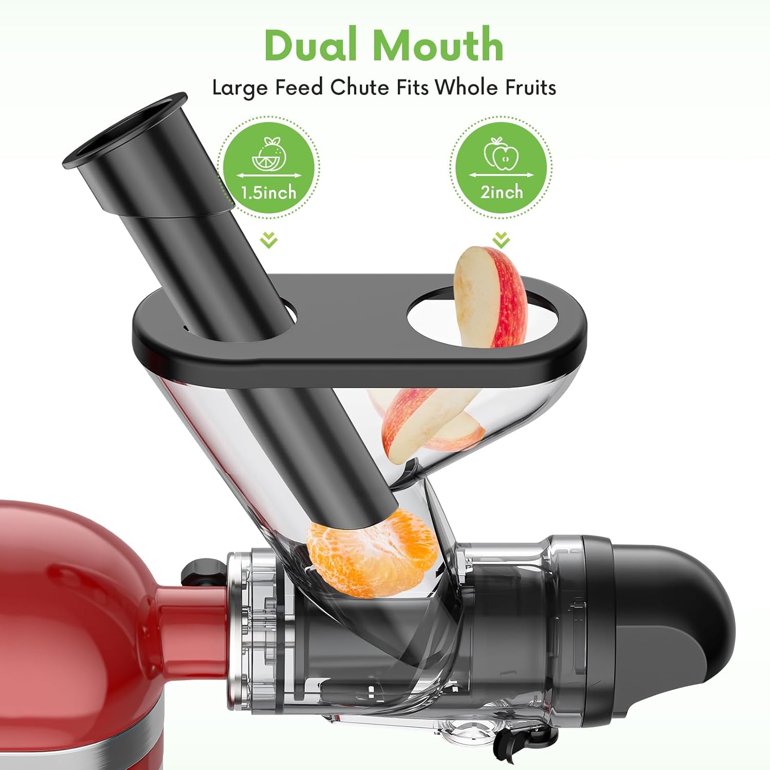 Accessoire de presse-agrumes à - Cold Press Juicer avis et prix