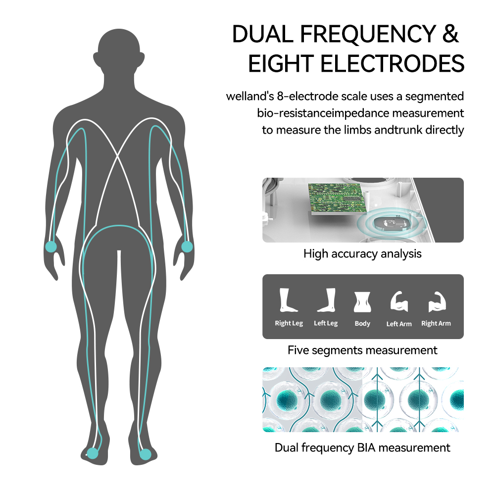 Balance de poids corporel Smar - Digital Body Weight Scale avis et prix