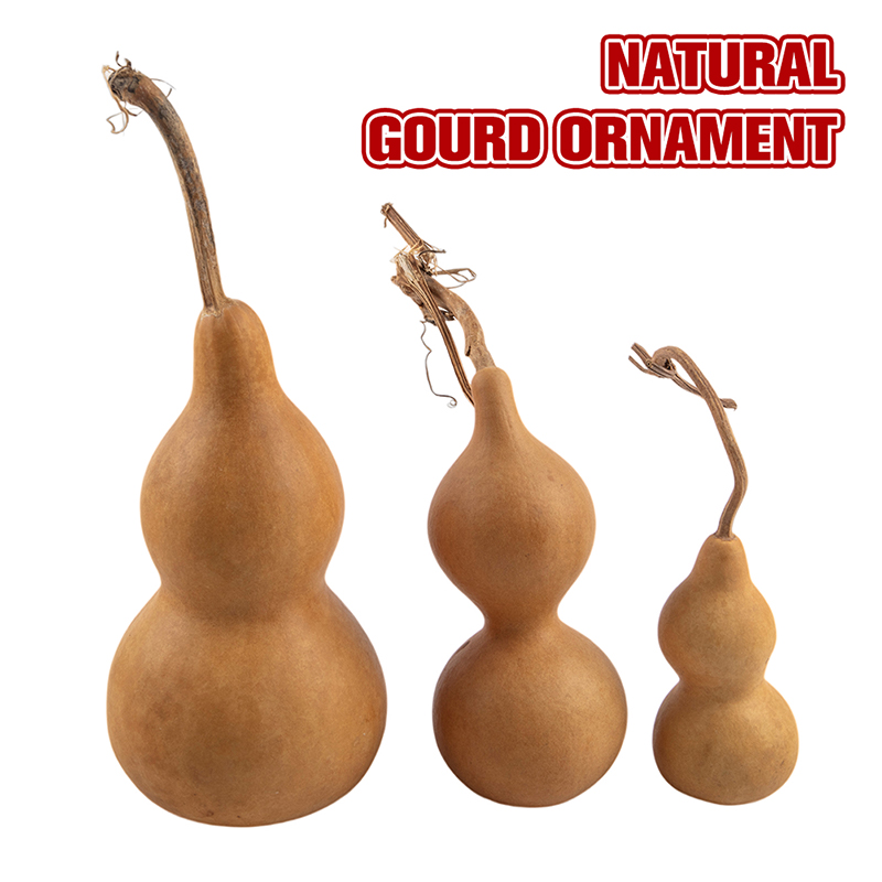 Ornements artisanaux en gourde - Longevity Health & Wellness Hotel avis et prix