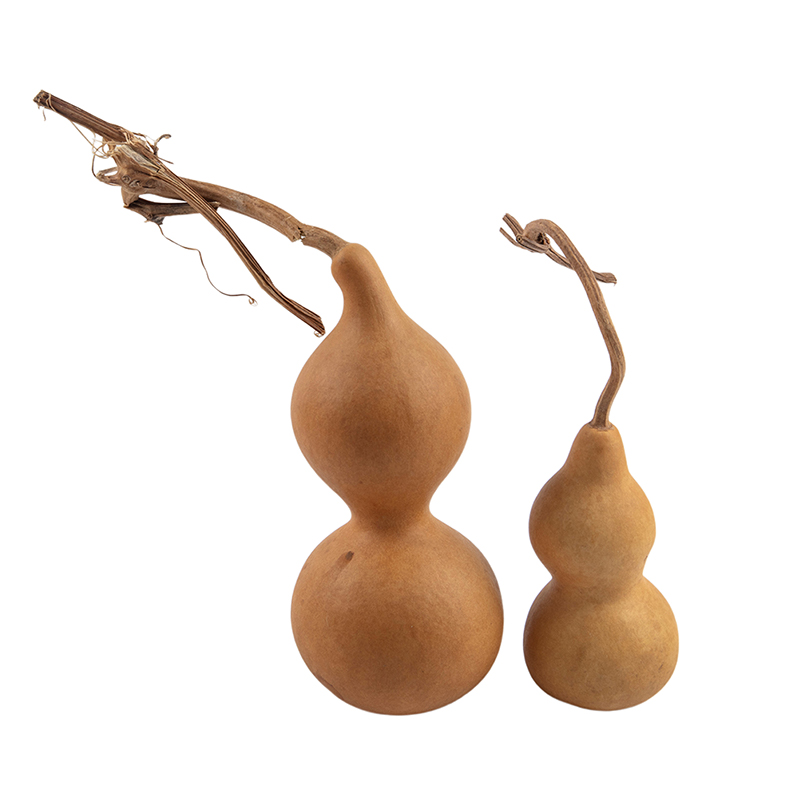 Ornements artisanaux en gourde - Longevity Health & Wellness Hotel avis et prix