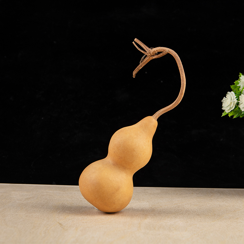 Ornements artisanaux en gourde - Longevity Health & Wellness Hotel avis et prix