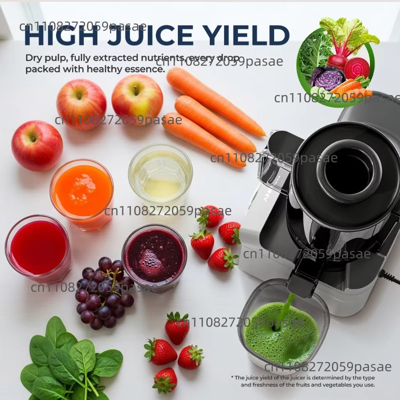 Extracteur de jus à vitesse le - Cold Press Juicer avis et prix