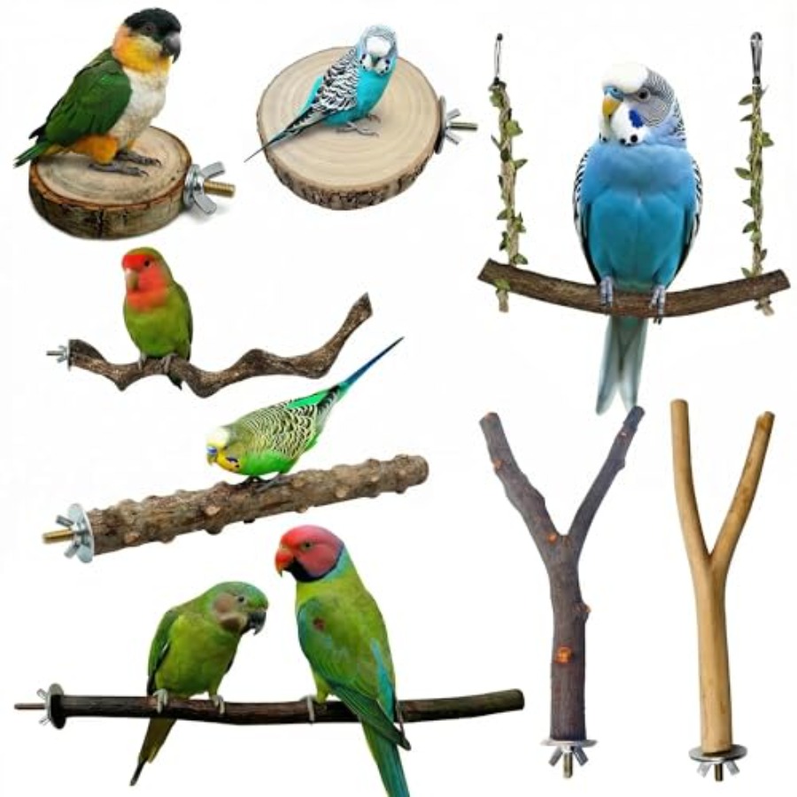 8 perchoirs en bois naturel po - Health & Wellness Llc avis et prix