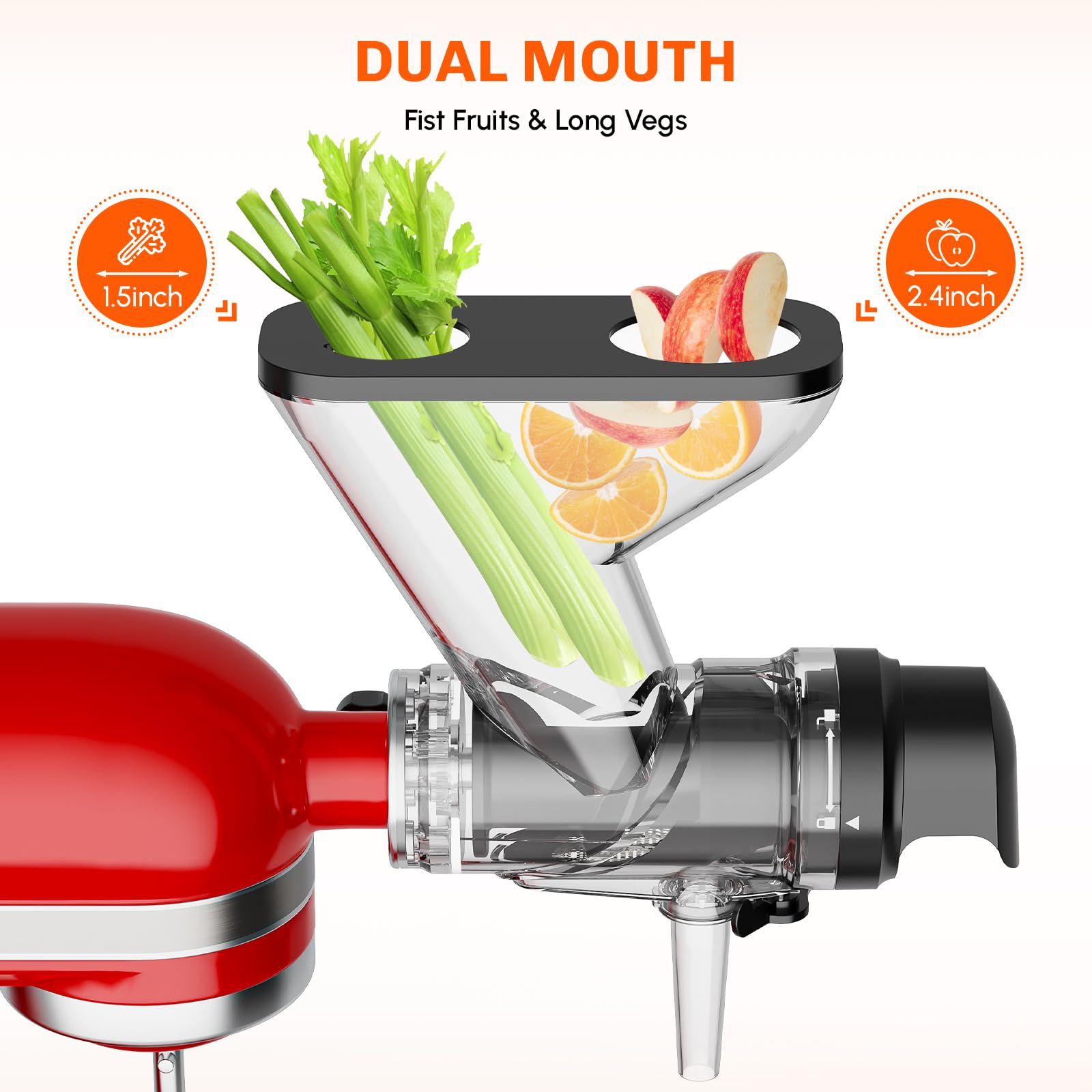 Accessoire de presse-agrumes à - Cold Press Juicer avis et prix