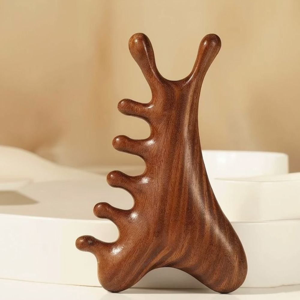 Peigne de massage du cuir chev - Health Wellness Spa avis et prix