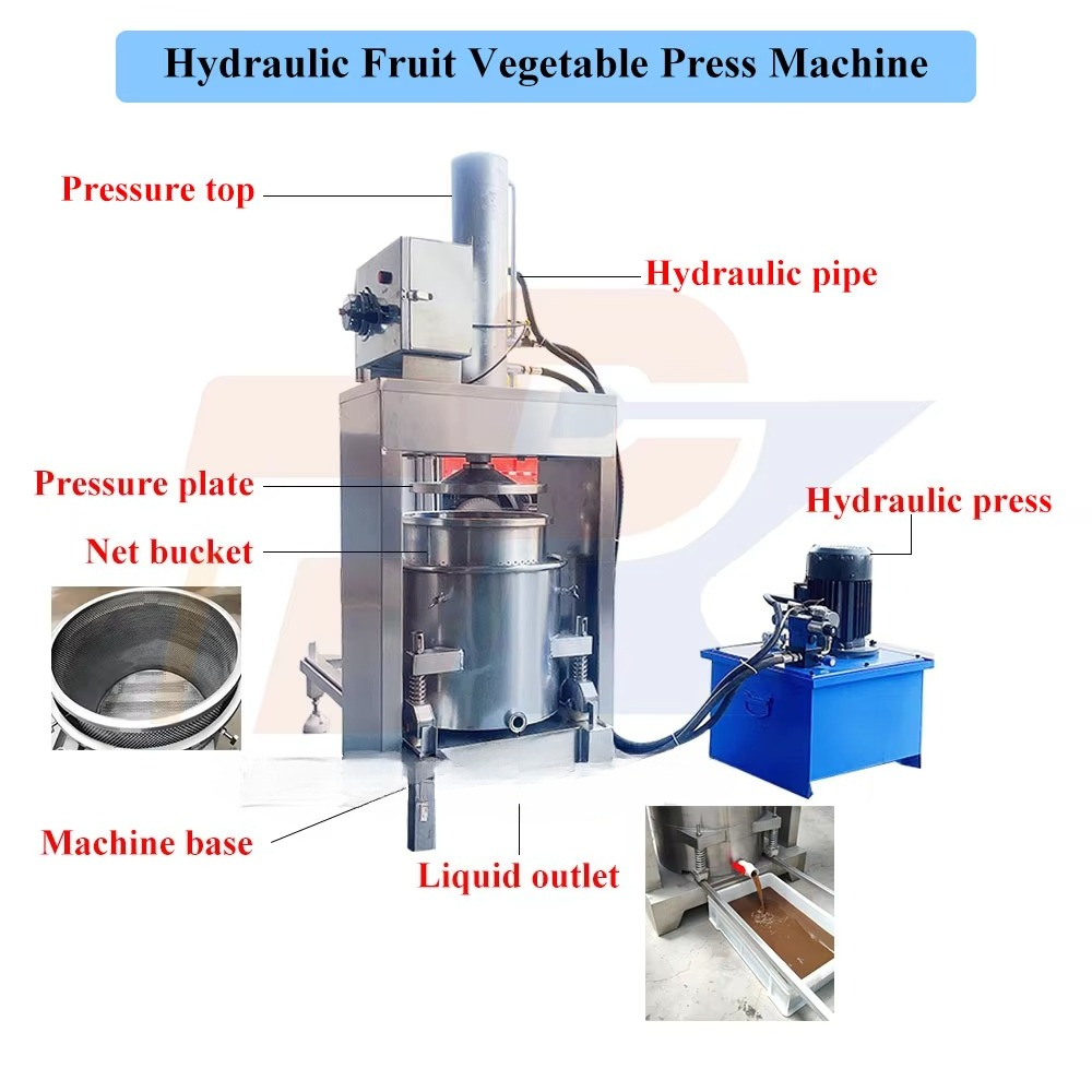 Extracteurs de jus hydraulique - Cold Press Juicer avis et prix