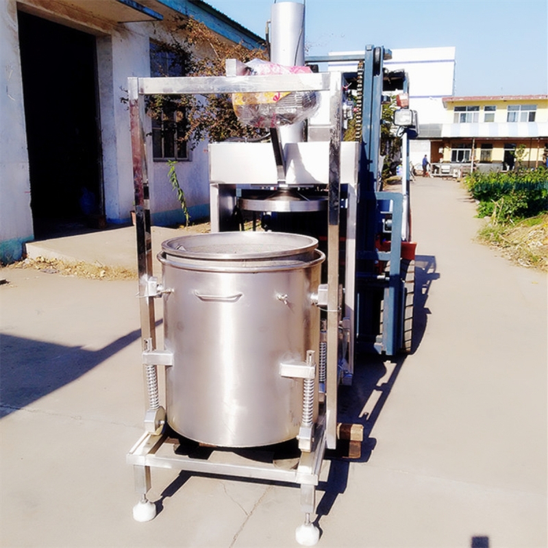 Extracteurs de jus hydraulique - Cold Press Juicer avis et prix
