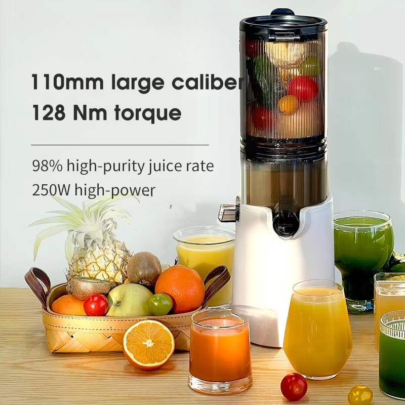 Offre spéciale grande bouche p - Cold Press Juicer avis et prix