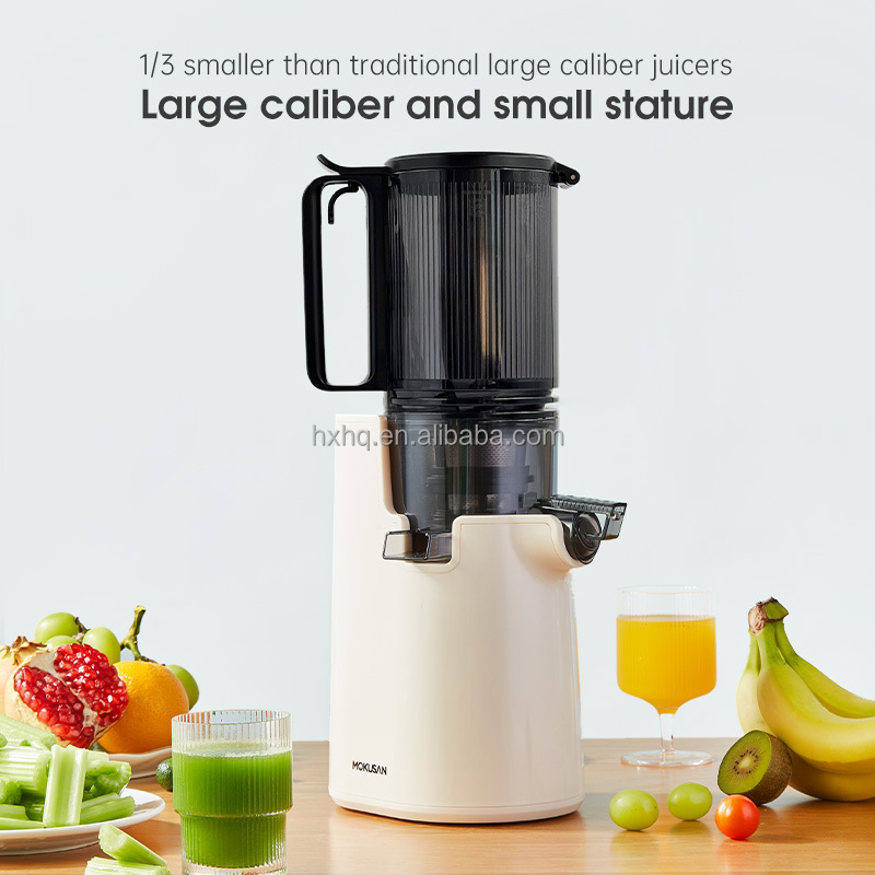 Offre spéciale grande bouche p - Cold Press Juicer avis et prix
