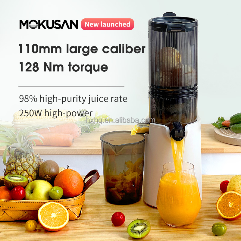 Offre spéciale grande bouche p - Cold Press Juicer avis et prix
